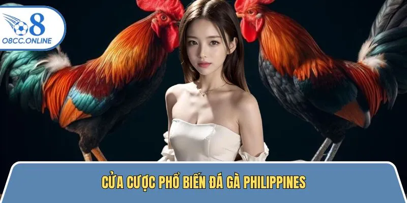 Cửa cược phổ biến nhất tham gia chọi kê Philippines